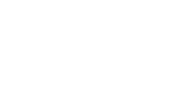 Turinter L alianxa